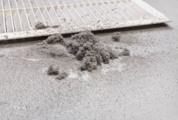 Best Air Duct Cleaning Near Me  in Bridgeport, NY
