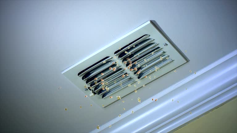 Best Emergency Air Duct Cleaning  in Bridgeport, NY